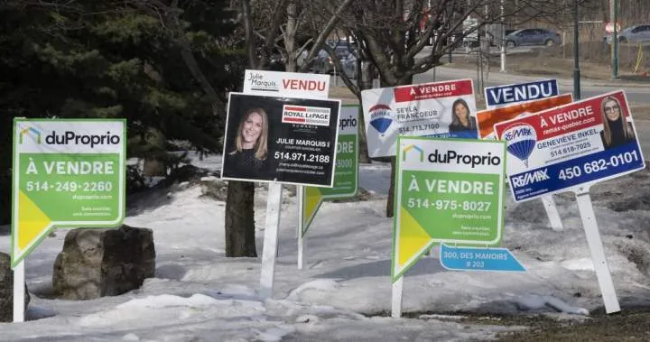 Montreal-area home sales fall 8.5% in November: Real estate board