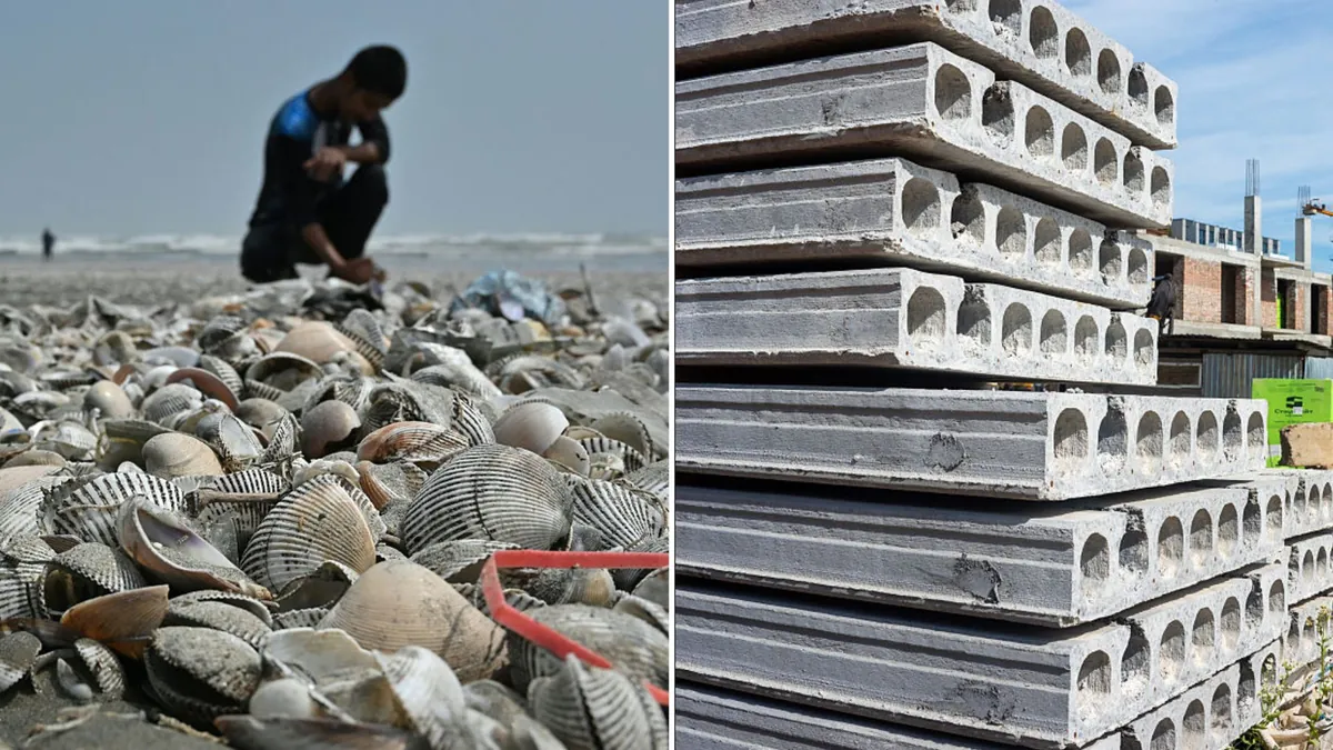 Seashells turned into eco-friendly concrete mix could help build stronger skyscrapers
