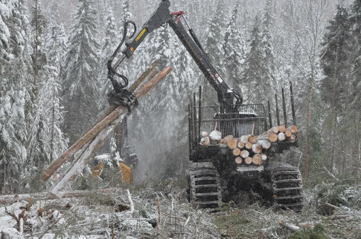 Les entrepreneurs forestiers en situation critique