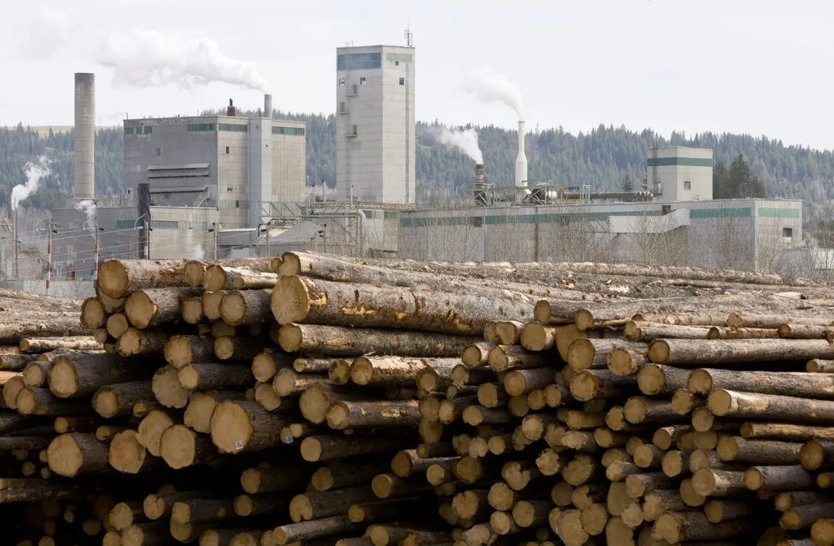 Vancouver’s West Fraser Timber to curtail northern Alberta mill; 190 jobs affected